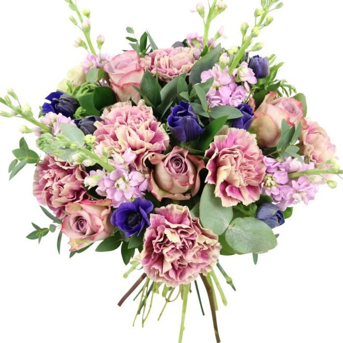 Set against a bright, uncluttered white background, this lush hand-tied bouquet commands attention, like a carefully styled arrangement waiting in a Northwood flower shop window. At its core, large garden roses in blush pink, dusty mauve and antique rose tones open in layered spirals, creating a soft, romantic focal point that draws the eye inward. Draped around them are numerous ruffled carnations, each bloom transitioning from creamy nude and gentle blush at the centre to deeper pink, rose and fuchsia along frilled outer petals, building a sense of volume and intricate texture. Contrasting these warm, romantic hues are dramatic strokes of deep indigo and royal blue: tight, elegant tulip-like buds and a striking open anemone with a nearly black centre that sits prominently near the lower front, grounding the design with jewel-toned intensity. Threaded throughout are graceful stems of lilac and pale lavender stock, their small clustered blossoms lending vertical movement and an impression of light, powdery fragrance, reminiscent of peaceful walks through Northwood's green spaces. Encircling the flowers is a generous mix of foliage, including round, silvery eucalyptus leaves and darker glossy greens, with a few taller green stalks adding height and a natural, just-gathered feel. The stems are visibly bound at the base, aligned neatly yet allowed to fan slightly, signalling a true hand-tied bouquet prepared for fresh, local delivery. This harmonious blend of pinks, purples, bold blues and cool greens creates an arrangement that conveys elegance and care, perfectly suited to anniversaries, milestone birthdays, congratulations or tender sympathy messages within Northwood.